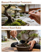 Bonsai Tool Set 6PCS with Wood Box, Stainless Steel Bonsai Tools