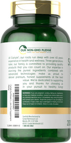 Carlyle Sunflower Lecithin Softgel Capsules | 2400mg | 200 Pills | Rich in Phosphatidyl Choline | Non-GMO, Soy Free, Gluten Free Supplement
