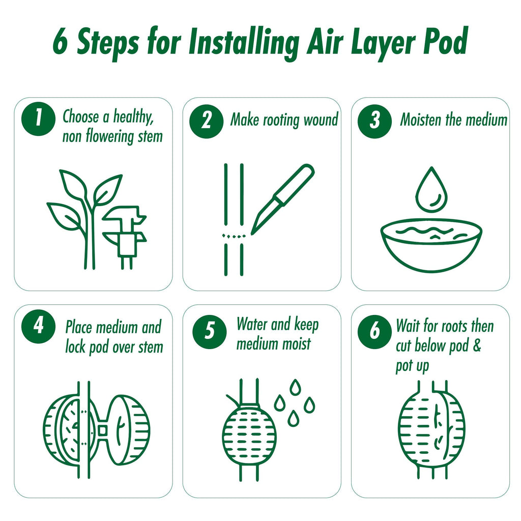 Rooted Promise Air Layering Propagation kit with Zip Ties | 12 Pack | 4 inches Wide x 5 inches Long | Plant Rooting Pods - Supports Aerial Roots Growth | Ventilated and Hinged Design | Made in USA