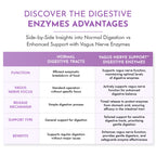 TJ Nutrition Digestive Enzymes for Sensitive Stomachs - Supports Vagus Nerve, Vegetarian Pancreatic Support, Timed Release Formula for Optimal Gut Health, Enhances Food Digestion & Gut Flora