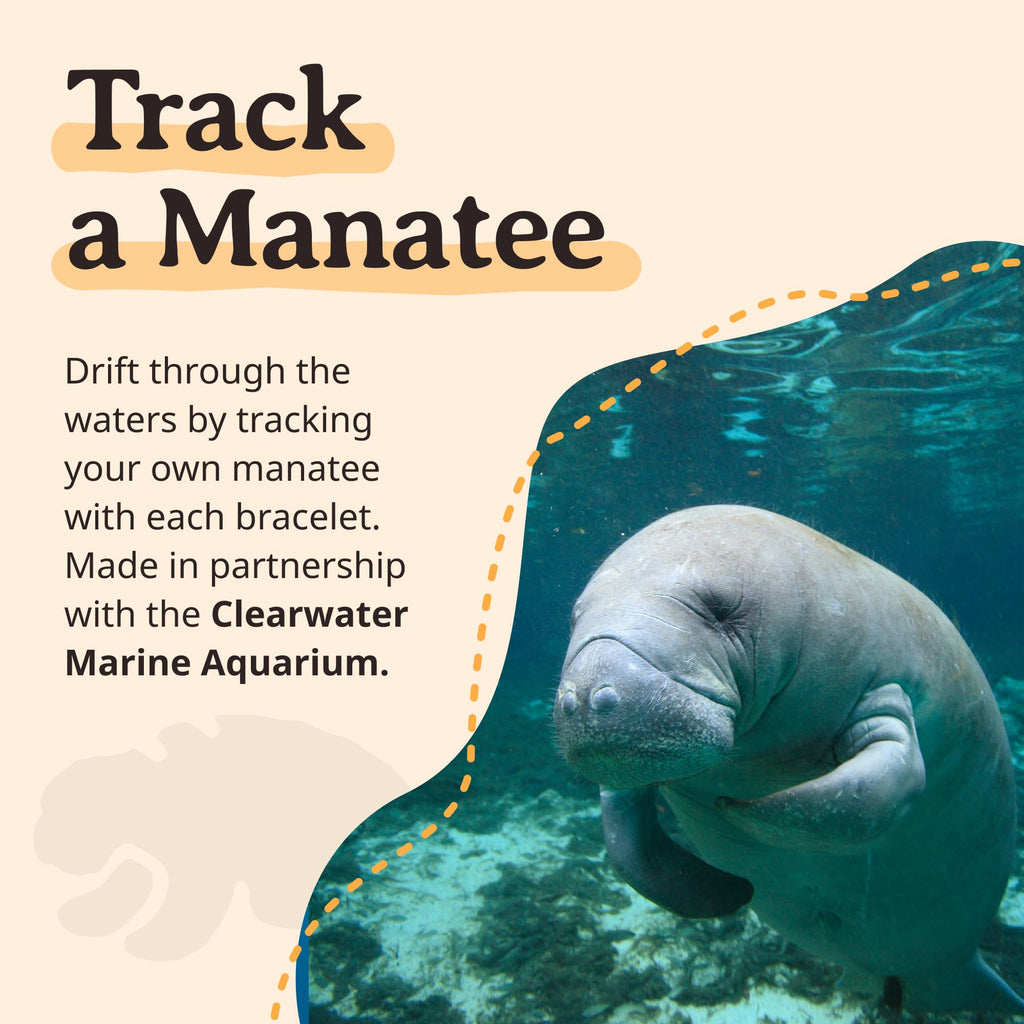 Fahlo Drift Manatee Tracking Bracelet, Sky Stone, One Size
