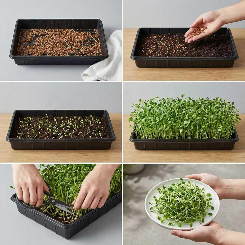 EXTYQWC 10 Plant Growing Trays,Plant Tray, Seed Tray, Seedling Tray, Propagation Tray, Plant Trays for Seedlings, Planting Trays, Seedling Starter Tray(No Drain Holes)