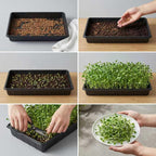 EXTYQWC 10 Plant Growing Trays,Plant Tray, Seed Tray, Seedling Tray, Propagation Tray, Plant Trays for Seedlings, Planting Trays, Seedling Starter Tray(No Drain Holes)