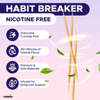 PurePix QuitPix Flavored Toothpicks to Quit Smoking – Nicotine Free Infused Toothpicks with L-Theanine & NAC, Extra Thick Oral Fixation Relief, 4 Flavor Variety Pack (80ct) Made in USA