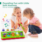 Baby Cause and Effect Pop Up Animal Toys for 1 Year Old Boy Girl with Light
