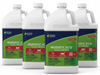 (4 Gallons) - Muriatic Acid for Swimming Pools & Spas, Removes Mortar from Bricks - 90% Low-Fume pH Stabilizer & Cleaner for Concrete & Masonry Surfaces, Clears Rust & Scale Build-Up - Ready to Use