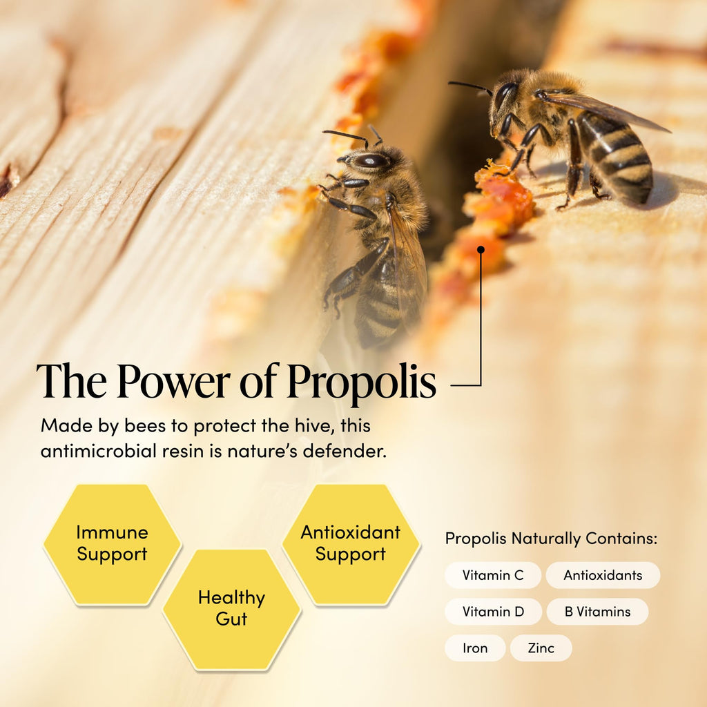 Propolis Throat Spray by Beekeeper's Naturals - 95% Bee Propolis Extract, Natural Immune Support & Sore Throat Relief - Antioxidants, Keto, Paleo, Gluten-Free (1.0 oz)(Pack of 1)