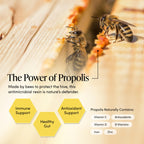 Propolis Throat Spray by Beekeeper's Naturals - 95% Bee Propolis Extract, Natural Immune Support & Sore Throat Relief - Antioxidants, Keto, Paleo, Gluten-Free (1.0 oz)(Pack of 1)