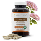 Secrets of the Tribe Hydrangea USDA Organic Capsules | Certified Organic Vegetarian Capsules, Herbal Dietary Supplement | Hydrangea arborescens Dried Root (120 Count)