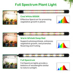 LPMZMBL LED Grow Lights for Indoor Plants, 3Heads Grow Lights for Seed Starting, 10 Dimmable Levels & 3 Timer Modes (3/9/12H), Adjustable 360° Gooseneck with Clip, Plant Grow Light 2 Pack