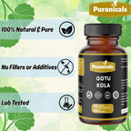 Puranicals Gotu Kola Premium 320 Capsules Non GMO and Gluten Free | Herbal Supplement | 600 mg Per Serving | Made with 100% Pure Gotu Kola Powder
