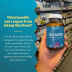Sea Moss Capsules, Organic Irish Moss with Bladderwrack Root, Burdock Root, and BioPerine, Skin, Thyroid, Digestion & Immunity Support for Women & Men, Gluten Free, Vegan, 60 Count