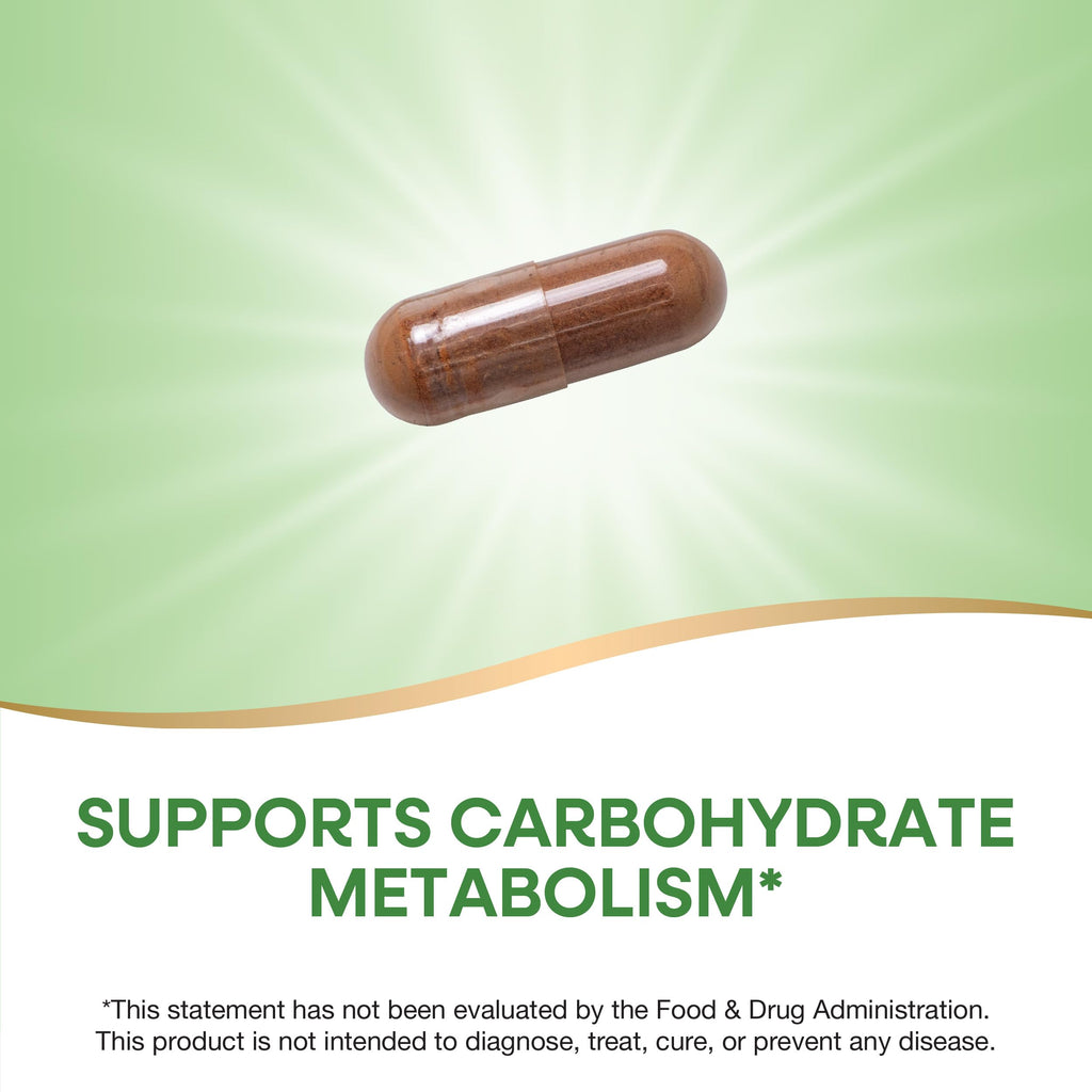 Nature's Way Cinnamon Premium Extract, Supports Carbohydrate Metabolism*, Non-GMO Project Verified, Standardized to 8% Flavonoids, 120 Vegan Capsules (Packaging May Vary) - 2 Pack