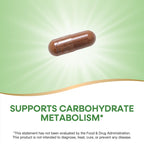 Nature's Way Cinnamon Premium Extract, Supports Carbohydrate Metabolism*, Non-GMO Project Verified, Standardized to 8% Flavonoids, 120 Vegan Capsules (Packaging May Vary) - 2 Pack