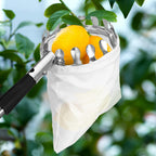 Fruit Picker Pole with Basket Telescoping, 11.5FT Fruits Picker Tool