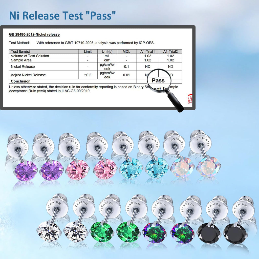 Limerencia Hypoallergenic G23 Implant Grade Titanium Screw Back Earrings