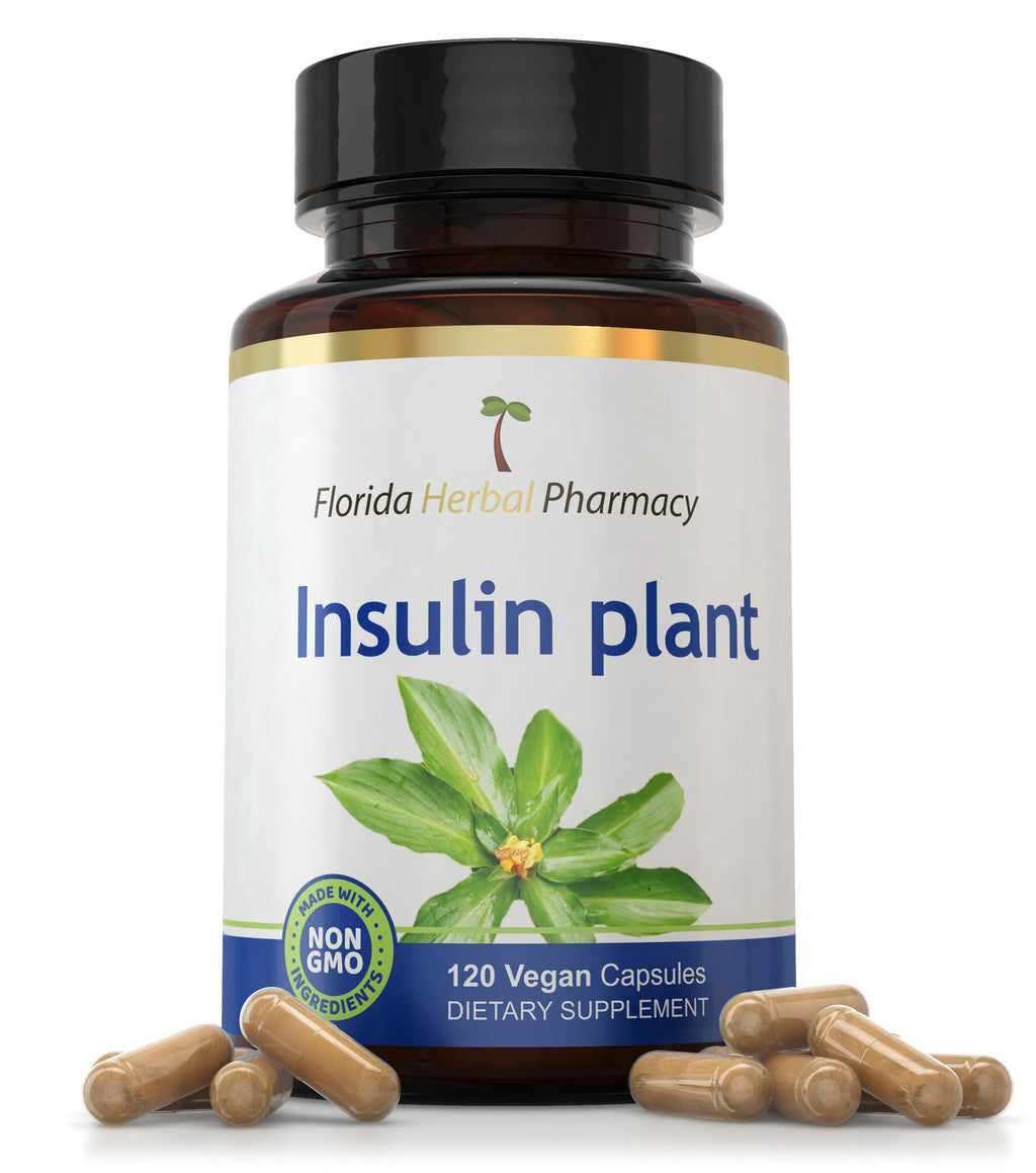 Insulin Plant Costus Igneus Extract Capsules 10:1 (120 Capsules)