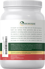 Carlyle Organic Greens Powder | 35.2 oz | 20+ Superfoods & Prebiotics