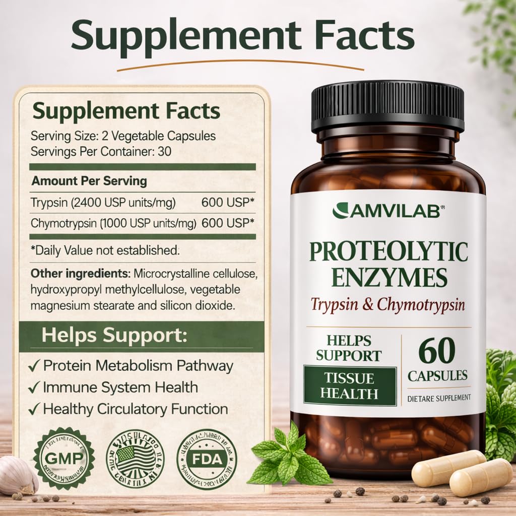 AMVILAB Proteolytic Enzymes | Trypsin & Chymotrypsin – Advanced Digestive Enzyme Supplement for Woman&Men - Digestive Enzymes for Protein Breakdown, Immune & Circulatory Health - 60 Capsules