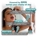 NMN Supplement Liquid Drops, Advanced 4-in-1 NMNH Alternative with NMN Beta Resveratrol TMG & Quercetin, Liposomal β-NMN Max Absorption for NAD⁺ Levels, Cellular Energy & Anti-Aging for Men & Women