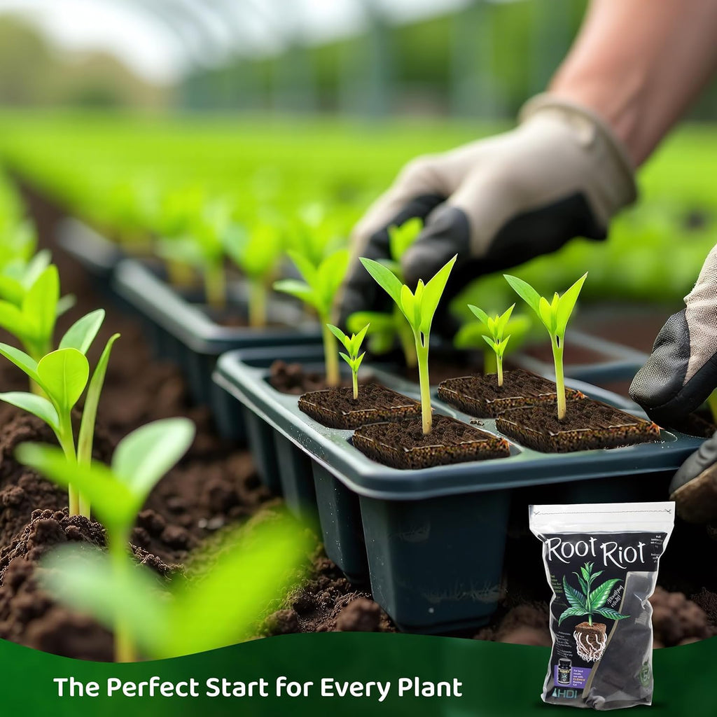 Root Riot Plant Starter Cubes Made from Sphagnum Peat Moss. Ideal for Cuttings and Seeds, Designed to Support Robust Root Development - 100 Cubes