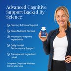 Provasil Brain Supplement for Memory, Focus, Mood & Concentration | Ginko Leaf Flavonoids, Bacopa Monnieri & Biotin | Improve Mental Performance, Attention & Cognitive Health (Pack of 3)