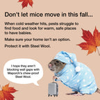 MaPorch Steel Wool Mice Control Kit - 15ft - Mouse Hole Filler - Grade 4 Coarse Steel Wool for Mice, Rat and Rodent Control (2 Rolls)