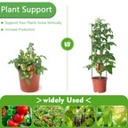 Fabulas 3 Pack Tomato Cages - Tomato Trellis Plant Support Stake Cage for Garden and Pots, Adjustable Tomato Plant Cage Tall Up to 48 Inch for Raised Garden Bed Outdoor Climbing Plants Vegetables