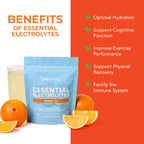 Paleovalley Essential Electrolytes Powder - Full Spectrum Orange Electrolyte Powder for Hydration, Energy and Muscle Recovery - No Sugar Added - 30 Servings