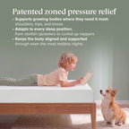 Zinus 5 Inch Twin Green Tea Memory Foam Mattress, Medium Firm Feel