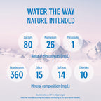 Evian Natural Spring Water (One Case of 12 Individual Bottles, each bottle is 1 liter) Naturally Filtered Spring Water in Large Bottles
