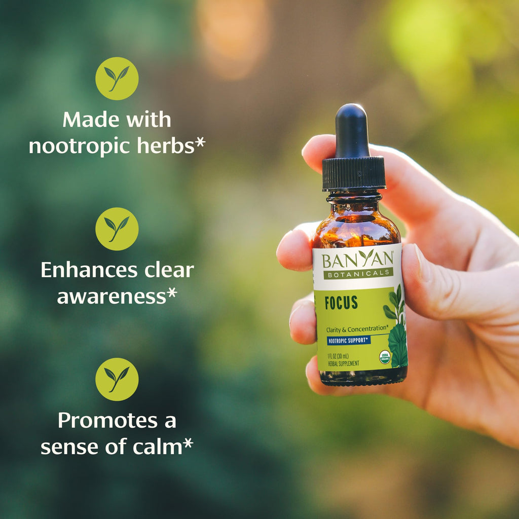 Banyan Botanicals Focus Liquid Extract – Organic Focus Supplement – Liquid Extract in Non-Alcoholic Glycerin – Nootropic Herbs for Fast-Acting Support* – 1 oz. – Non-GMO Sustainably Sourced Vegan