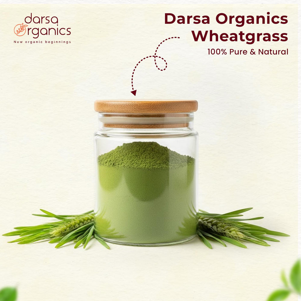 Darsa Organics Wheatgrass Powder 1 lb - Premium USDA Organic Wheat Grass, Fine-Milled Green Powder for Smooth Mixing - Non-GMO, Vegan, and Gluten-Free, Fresh-Sealed Resealable Pouch