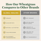 Global Healing Wheat Grass Powder Organic 180g - Nutrient-Dense, Raw Wheatgrass Juice Powder (33:1 Extract) with Strong Antioxidants for Immune Support & Energy Boost - Cold-Process, Non-GMO - 6.3 Oz