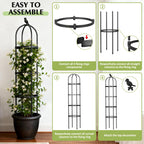 Garden Obelisk Trellis for Climbing Plants Outdoor, 6.2 FT Tomato Cage, Rose, Flowers, Grape, Pea, Cucumber Trellis, Rustproof Plastic Coated Metal Plant Support Trellis for Potted Plants (2 Pack)