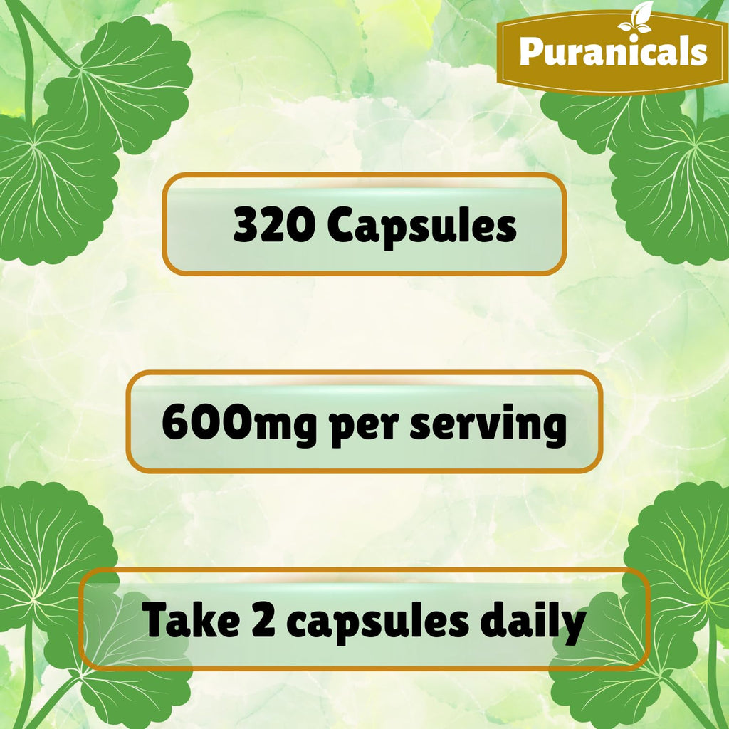 Puranicals Gotu Kola Premium 320 Capsules Non GMO and Gluten Free | Herbal Supplement | 600 mg Per Serving | Made with 100% Pure Gotu Kola Powder