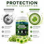 Liposmal Sulforaphane Gummies - Broccoli Sprouts Extract 755mg Total with Myrosinase, Glucoraphanin, and Green Tea Extract | Broccoli Sprout Supplement for Antioxidant, Detox & Cellular Health
