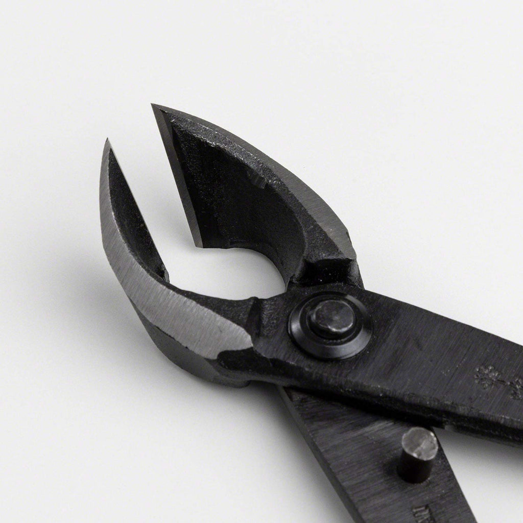 Wazakura Hand Forged Bonsai Concave Branch Cutter, Made in Japan 8 inch (200mm), Japanese Gardening Tools, Straight Edge Black