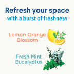 Clorox Disinfecting Mist, Lemon and Orange Blossom, 1 Spray and 1 Refill, 16 oz Each