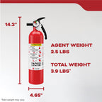 Kidde FA110G Multi Purpose Fire Extinguisher, Wall Mount, for Home/Office/Dorm/Residential, 1A10BC