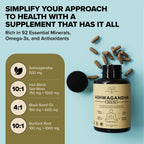 Garden of Herbz Organic Ashwagandha Root & Irish Sea Moss – 3,600 mg Ashwagandha Supplement with Black Seed Oil, & Burdock Root – Herbal Supplement for Energy, Calm, Mood, & Wellness, 120 Caps