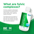 BEAM Minerals Micro-Boost and Electrolyze Advanced Set | Advanced Electrolyte & Micronutrient Support | 100% Bioavailable, Ionized Format