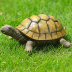 Turtle Garden Statue,Outdoor Figurine,Indoor Tortoise Sculpture Colloction