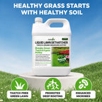 Covington Liquid Lawn Dethatcher (32oz) – Liquid Aerator Concentrate & Humic Thatch Remover, Soil Softener & Grass Thatch Buster for Lawns & Gardens – Kids & Pet Safe, Made in USA