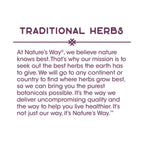 Nature's Way Kidney Bladder, Traditional Herbs Supplement, 900mg Per Serving, 100 Vegan Capsules (Pack of 2)