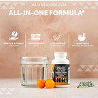 Clean Nutraceuticals Shilajit Supplement for Men with Sea Moss, Tongkat Ali, Ashwagandha, Boron, Zinc, CoQ10, PQQ - Fulvic Acid Capsules - Energy Support - 90 Count - Resin, Gummy & Powder Alternative