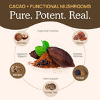 Real Mushrooms Unsweetened Hot Chocolate Mix with 5 Defenders – Reishi, Chaga, Turkey Tail, Maitake, Shiitake – Coco Powdered Unsweetened – Organic Cacao Powder Supplement, Vegan, 15 Servings