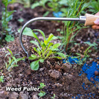Berry&Bird Weed Puller, Crack Weeder Cultivator Garden Hand Tool