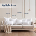 MIULEE 20x20 Throw Pillows Inserts 2 Pack, Decorative Pillows for Couch Bed