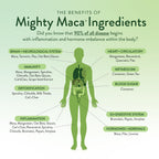VIDAPURA Mighty Maca Plus by Dr. Anna Cabeca – Organic Superfood Greens Powder for Daily Energy & Vitality, Vegan & Alkaline, 60 Servings